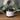 Repair & Restore TALLOW BODY BUTTER